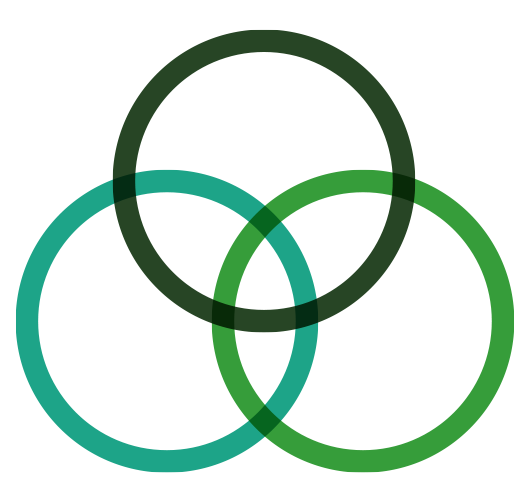Our values