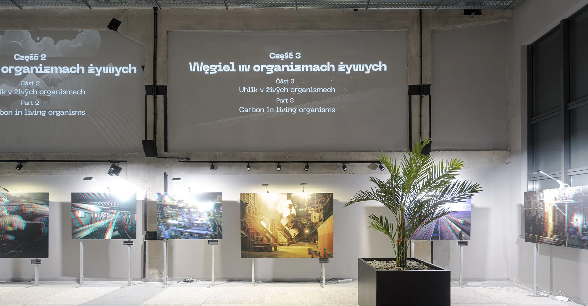 Carbonarium, Institut für Kulturerbe und Dialog – Łaźnia Moszczenica #3