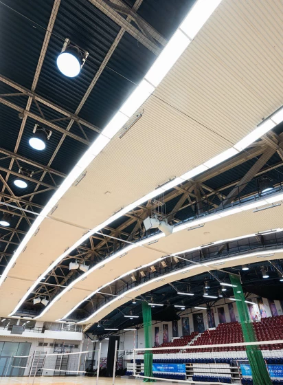 Arena del Centro Comunale di Cultura e Sport #2