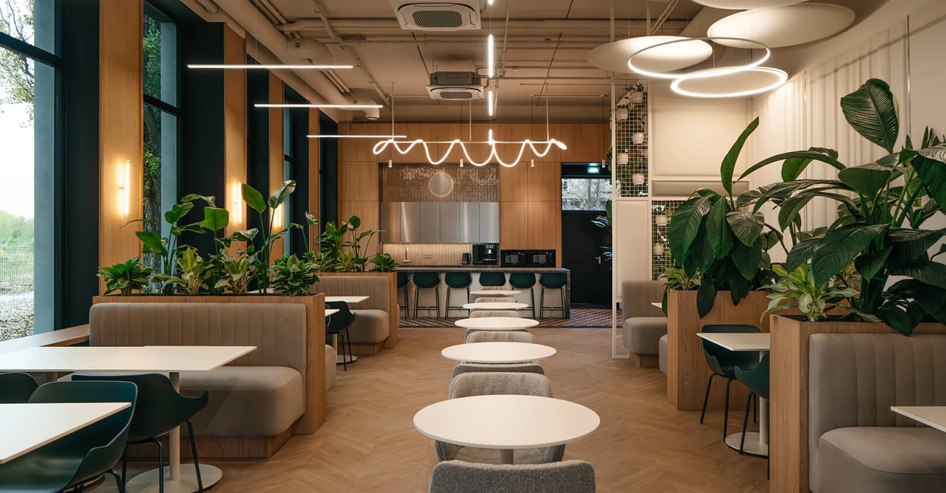 Iluminando un universo de ideas: sede de Pikseo #2