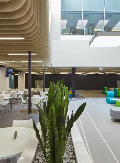 Sabre Office #2