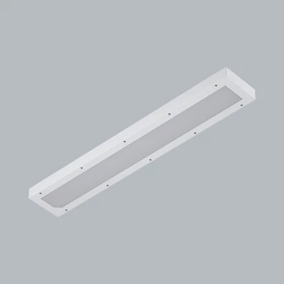 PRISON LED